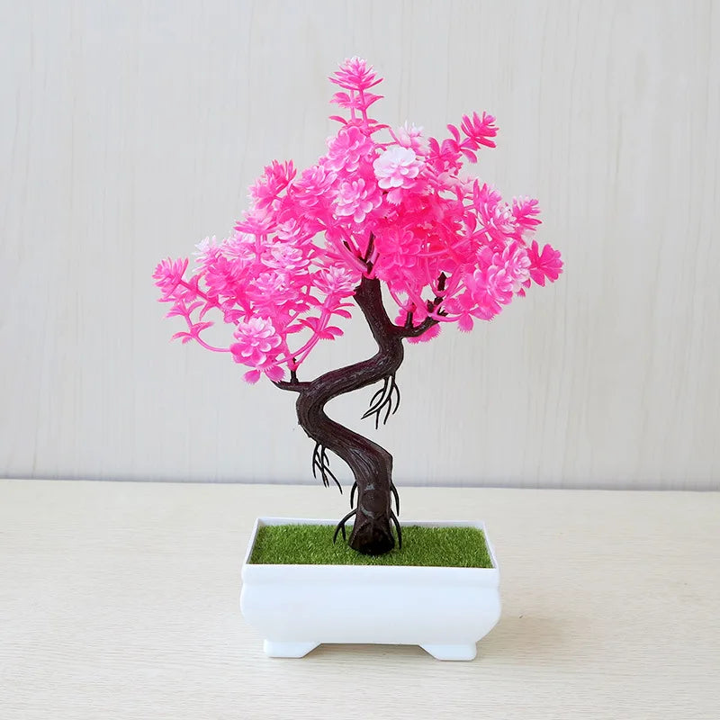 Small Tree Bonsai