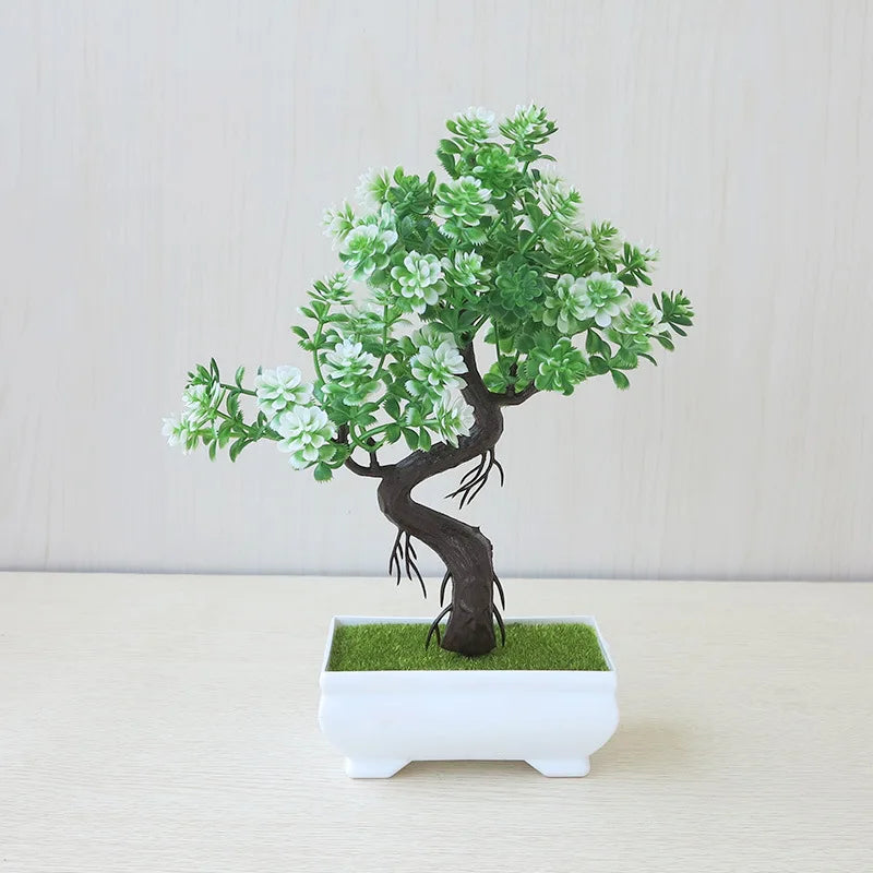 Small Tree Bonsai
