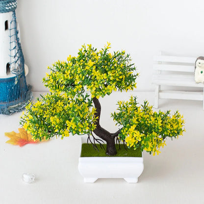 Small Tree Bonsai