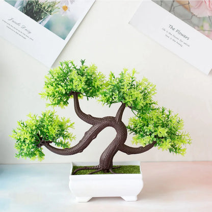 Small Tree Bonsai