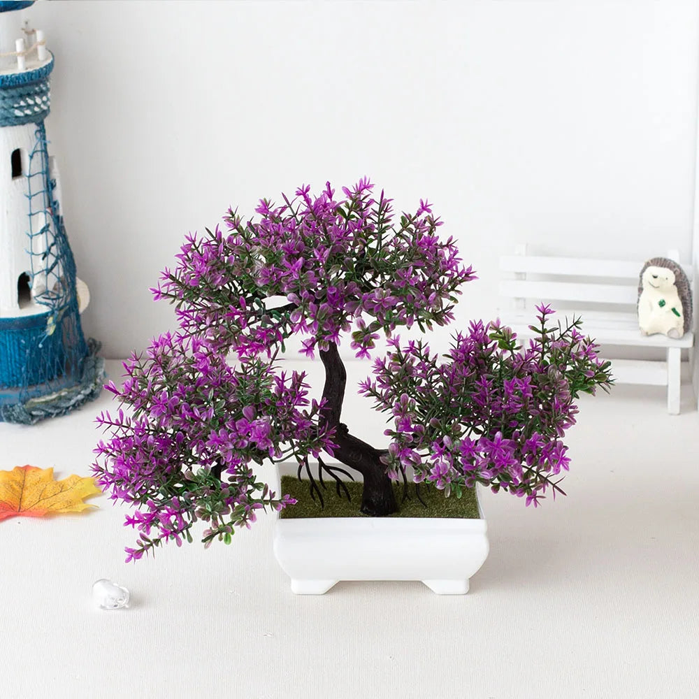 Small Tree Bonsai
