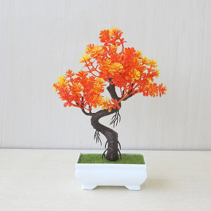 Small Tree Bonsai