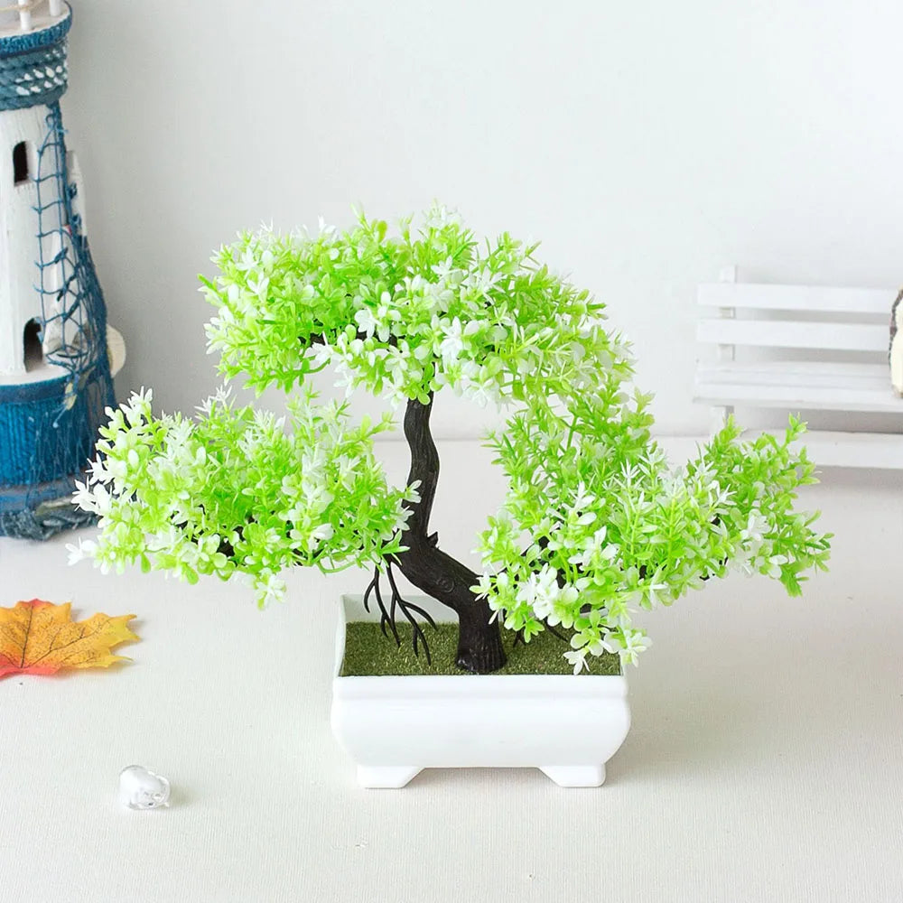 Small Tree Bonsai