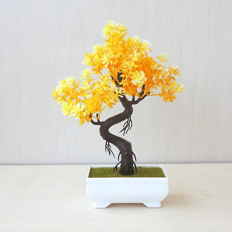 Small Tree Bonsai