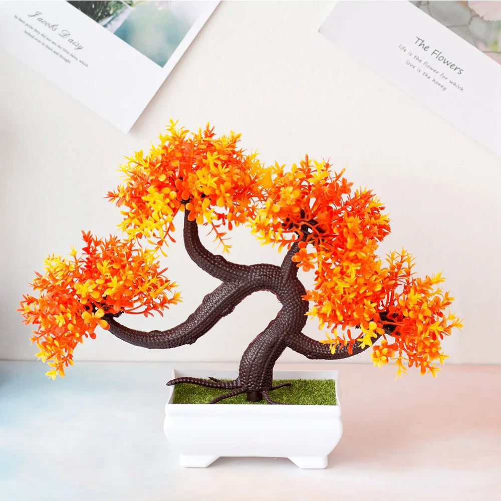 Small Tree Bonsai