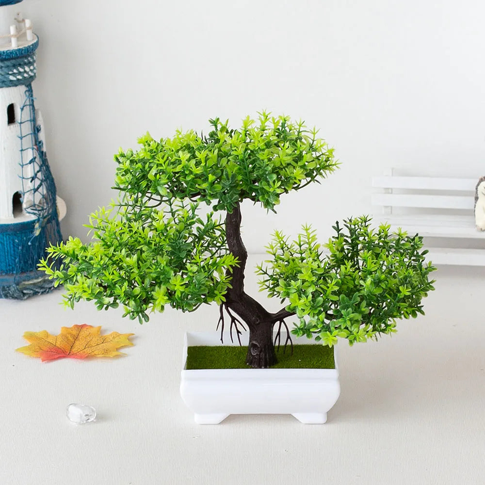 Small Tree Bonsai