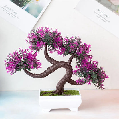 Small Tree Bonsai