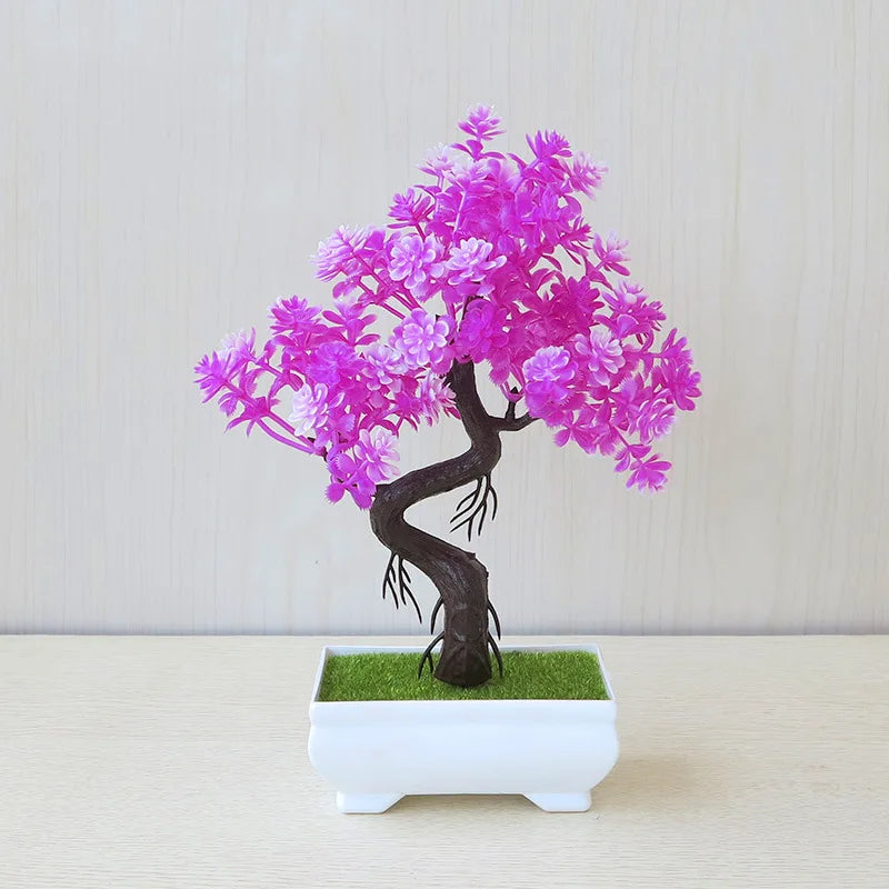 Small Tree Bonsai