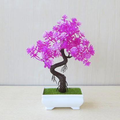 Small Tree Bonsai