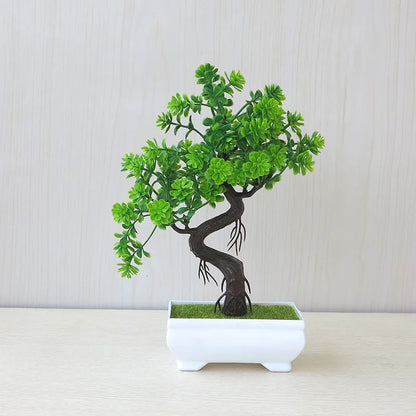Small Tree Bonsai