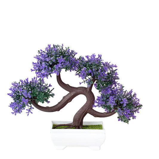 Small Tree Bonsai