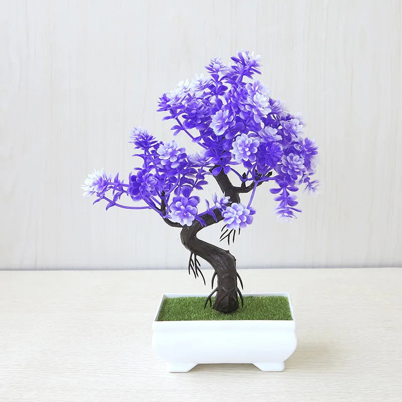 Small Tree Bonsai