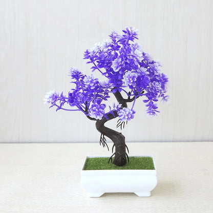 Small Tree Bonsai