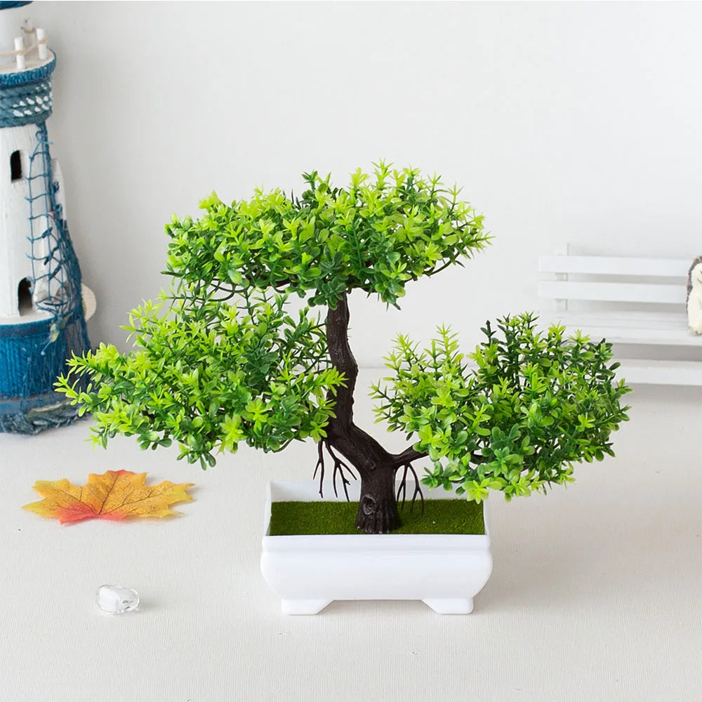 Small Tree Bonsai